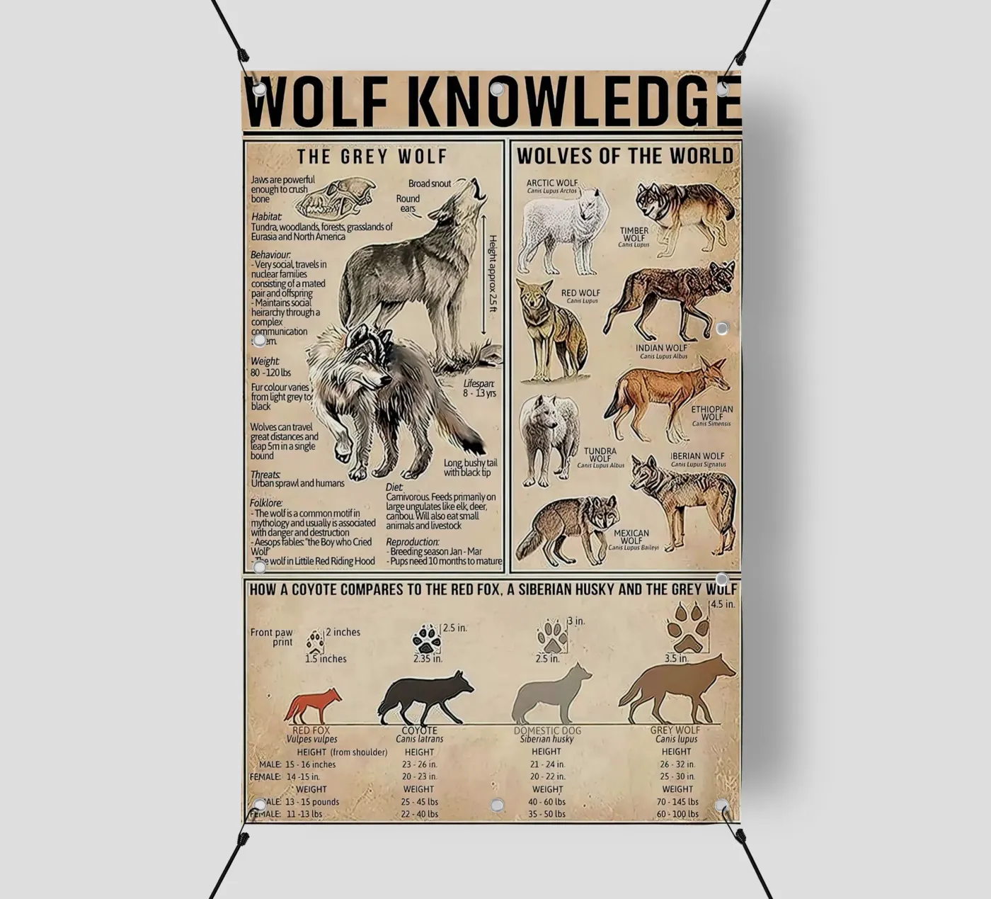 Wolf Knowledge pvc cover by Maritiknowled