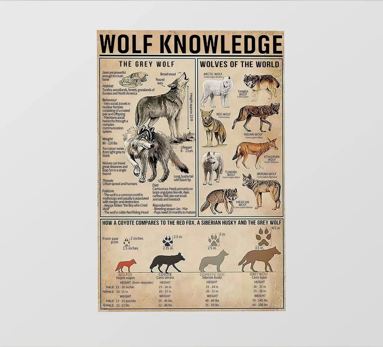 Wolf Knowledge PVC Plane von Maritiknowled