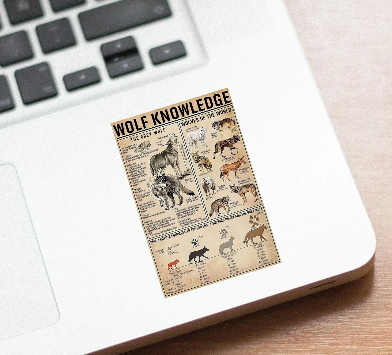 Wolf Knowledge Sticker von Maritiknowled