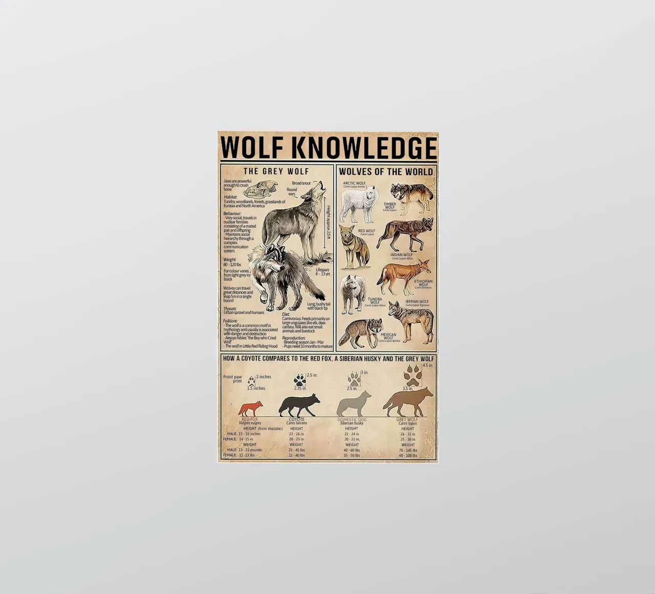 Wolf Knowledge Sticker von Maritiknowled