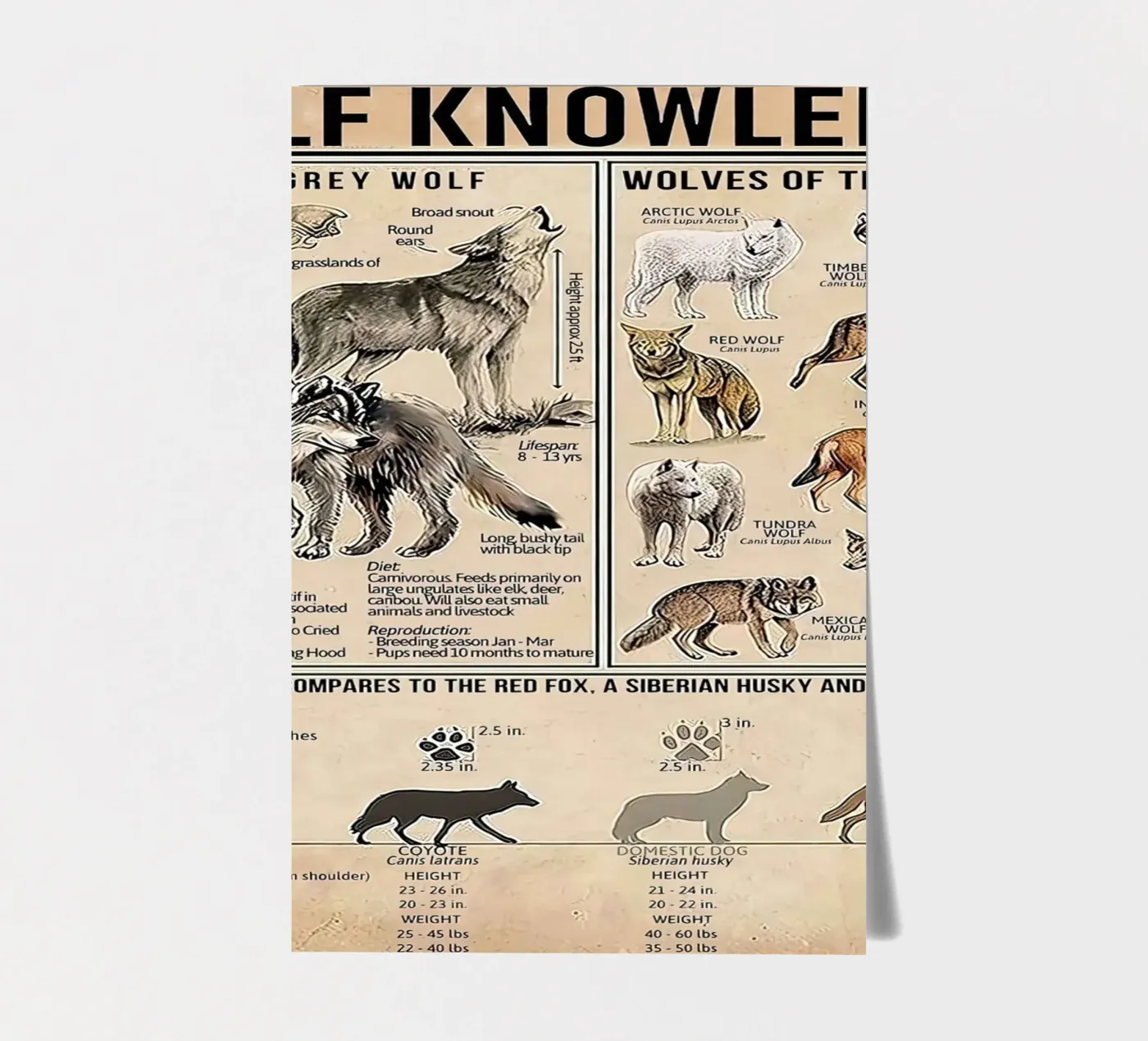 Kennis over wolven stickervel van Maritiknowled