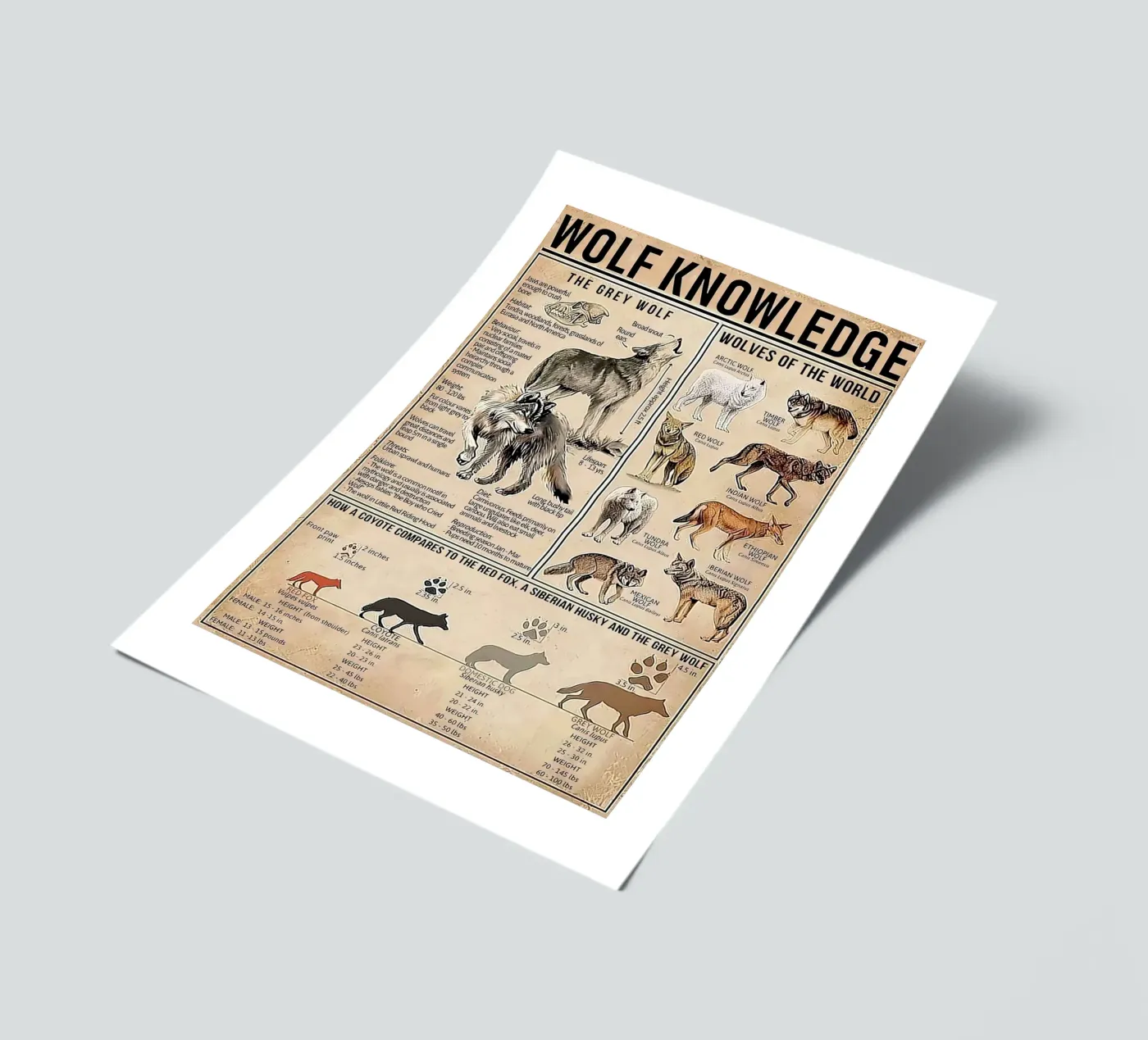 Kennis over wolven stickervel van Maritiknowled