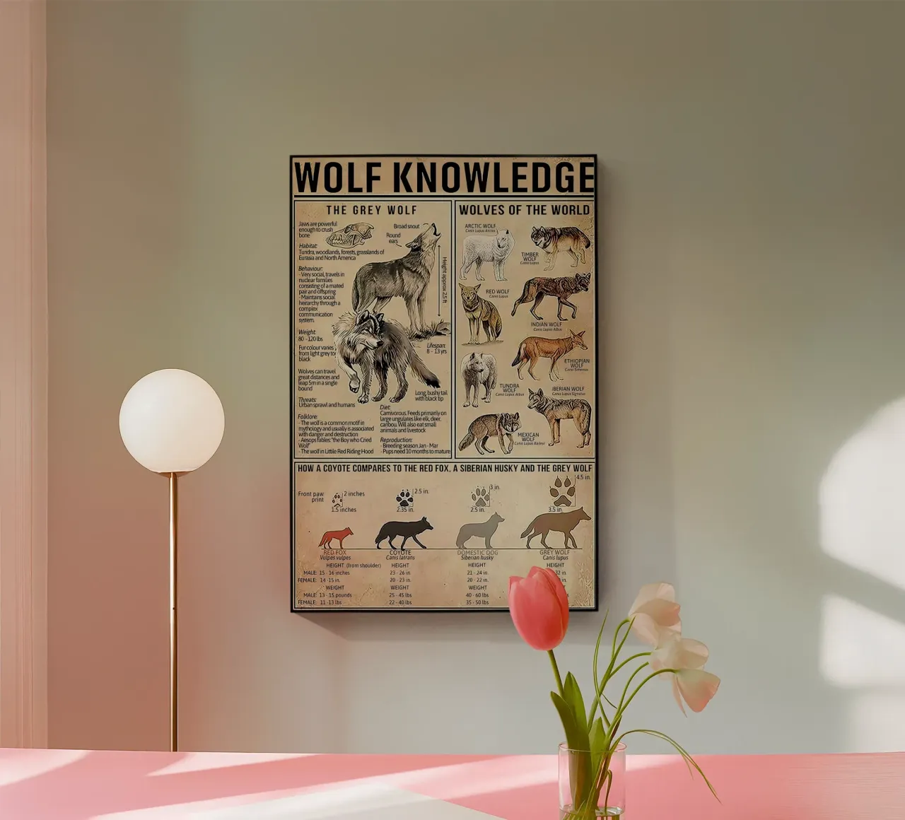 Wolf Knowledge plexiglas de Maritiknowled