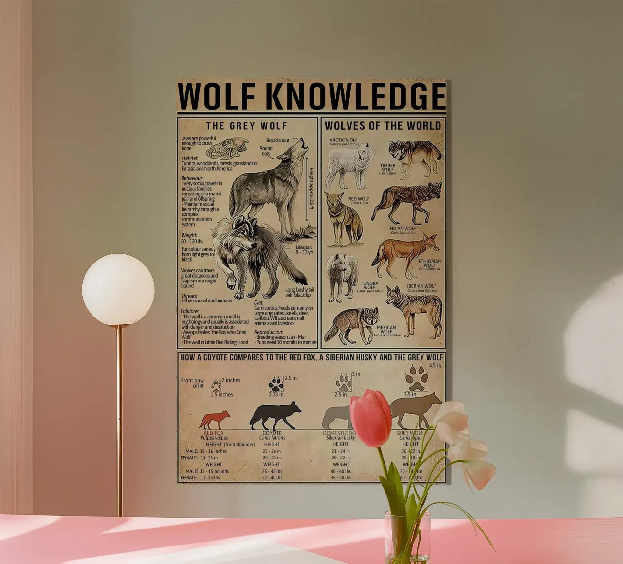 Wolf Knowledge plexiglas de Maritiknowled