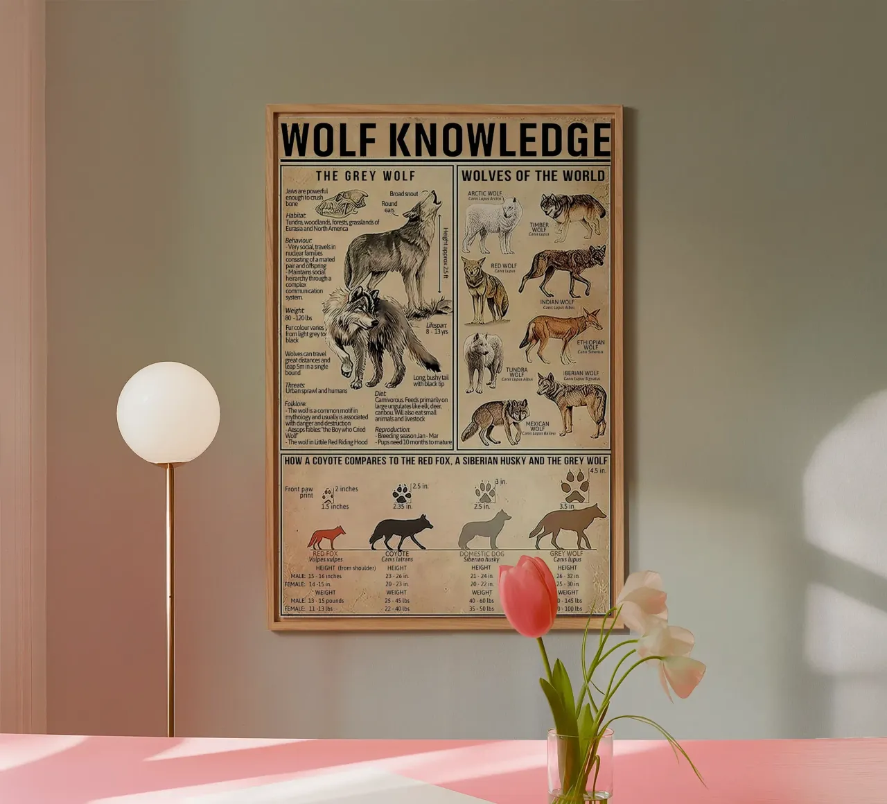 Wolf Knowledge forex-plaat van Maritiknowled