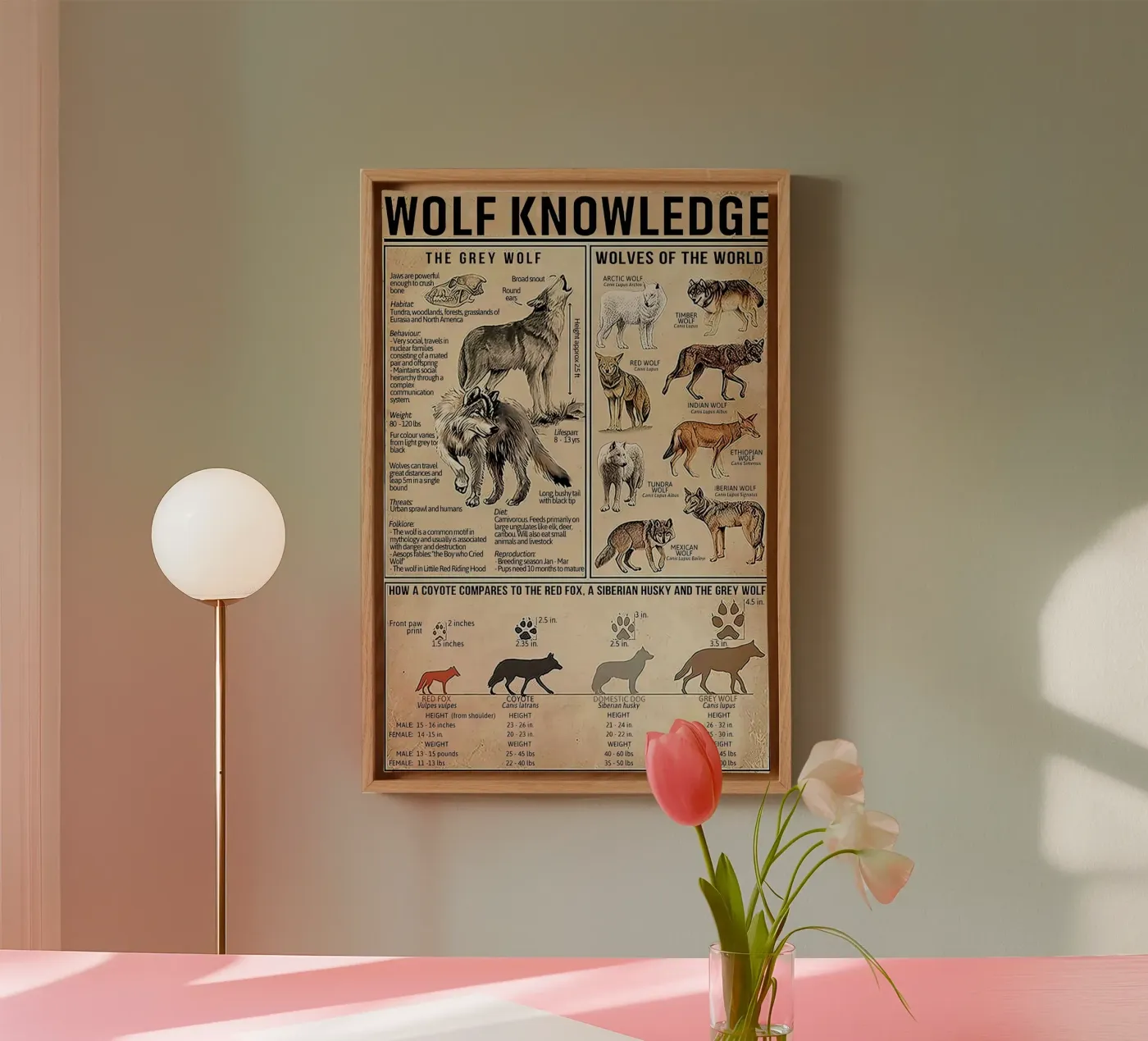 Connaissance du loup toile de Maritiknowled
