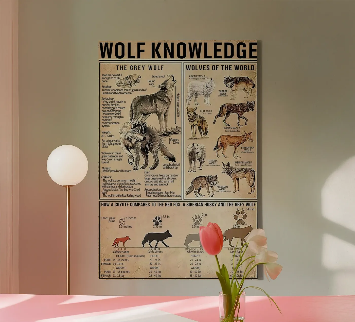 Connaissance du loup toile de Maritiknowled