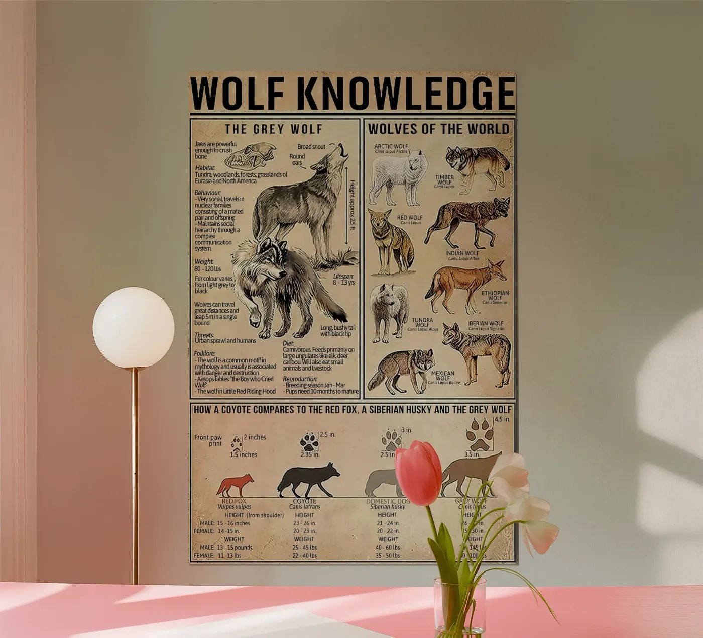 Connaissance du loup hahnemühle de Maritiknowled