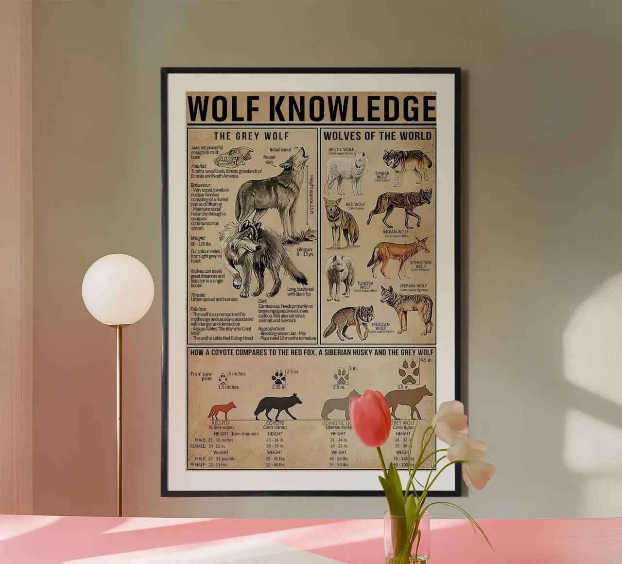 Wolf Knowledge poster by Maritiknowled