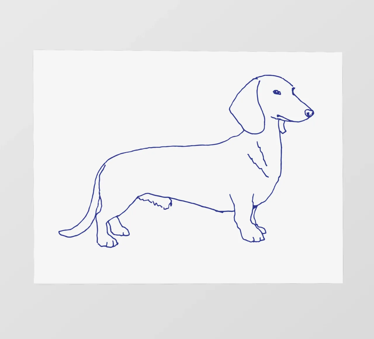 teckel fotobehang van Blue on White