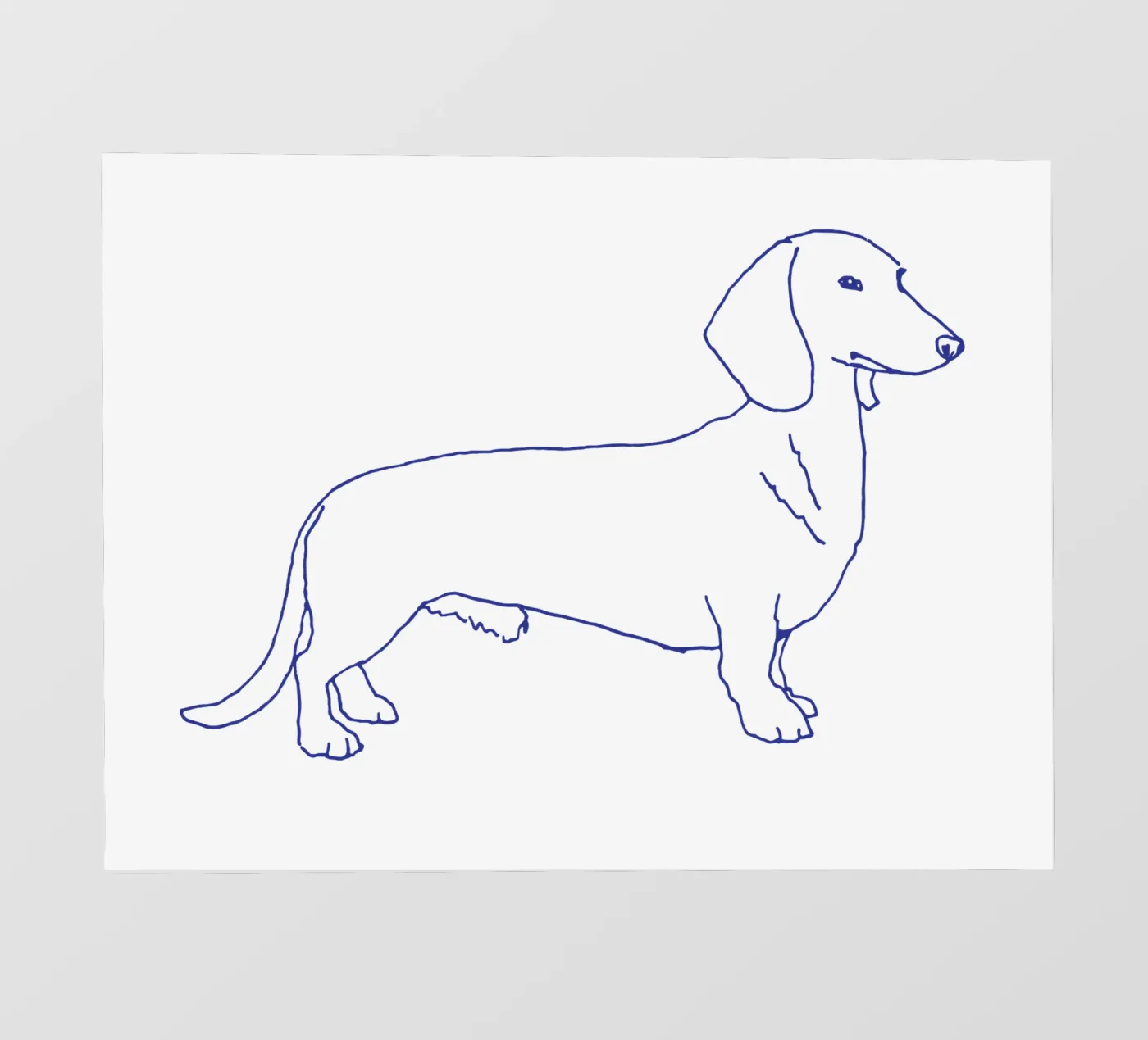 Dackel Fototapete von Blue on White