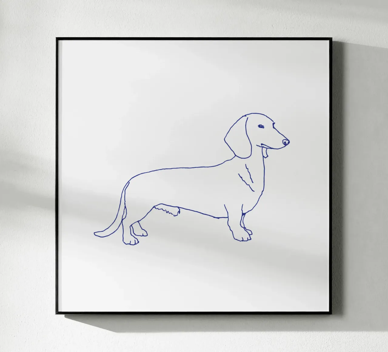 bassotto plexiglass da Blue on White