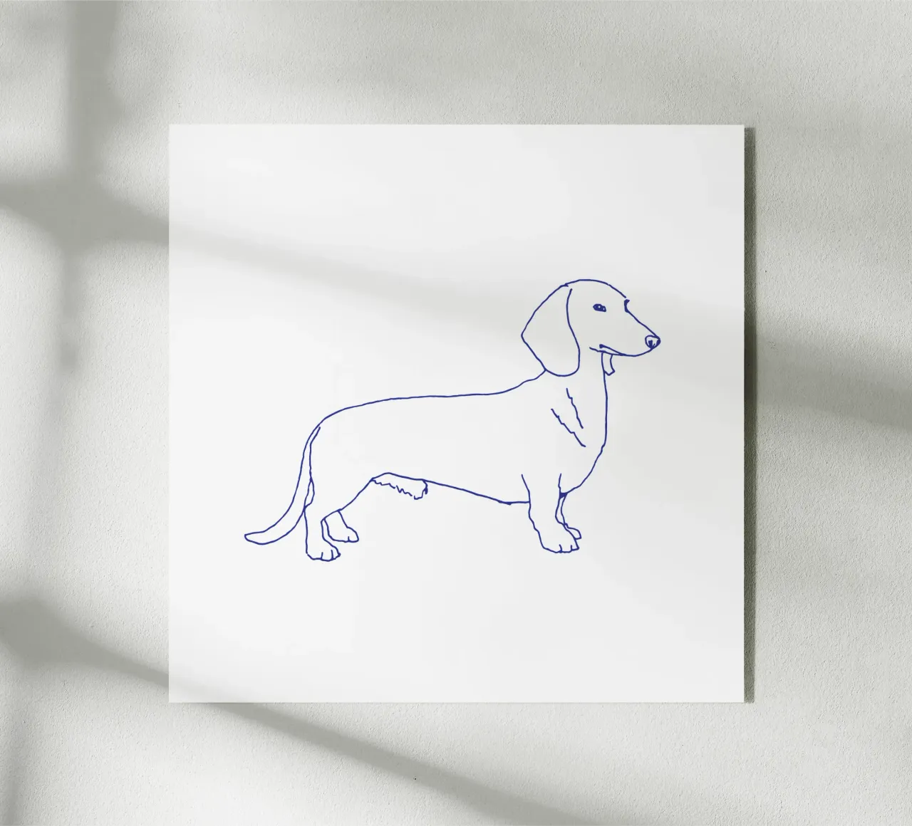 bassotto plexiglass da Blue on White