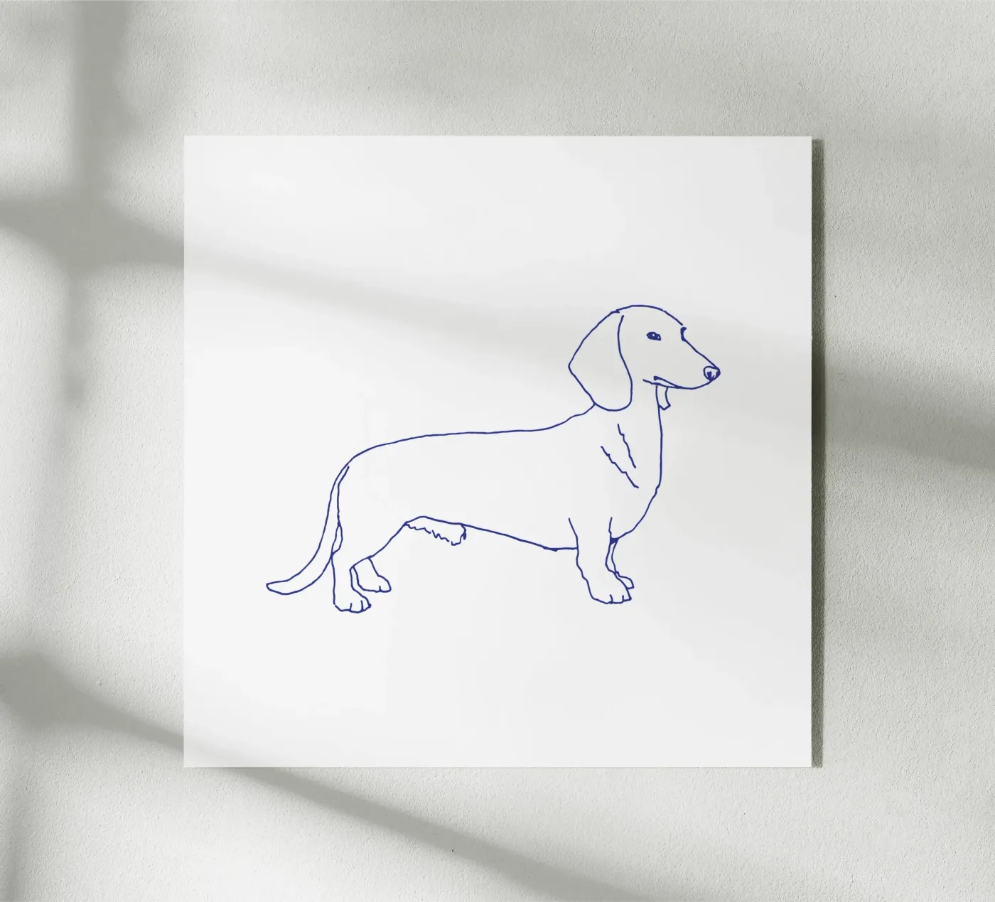 teckel plexiglas de Blue on White