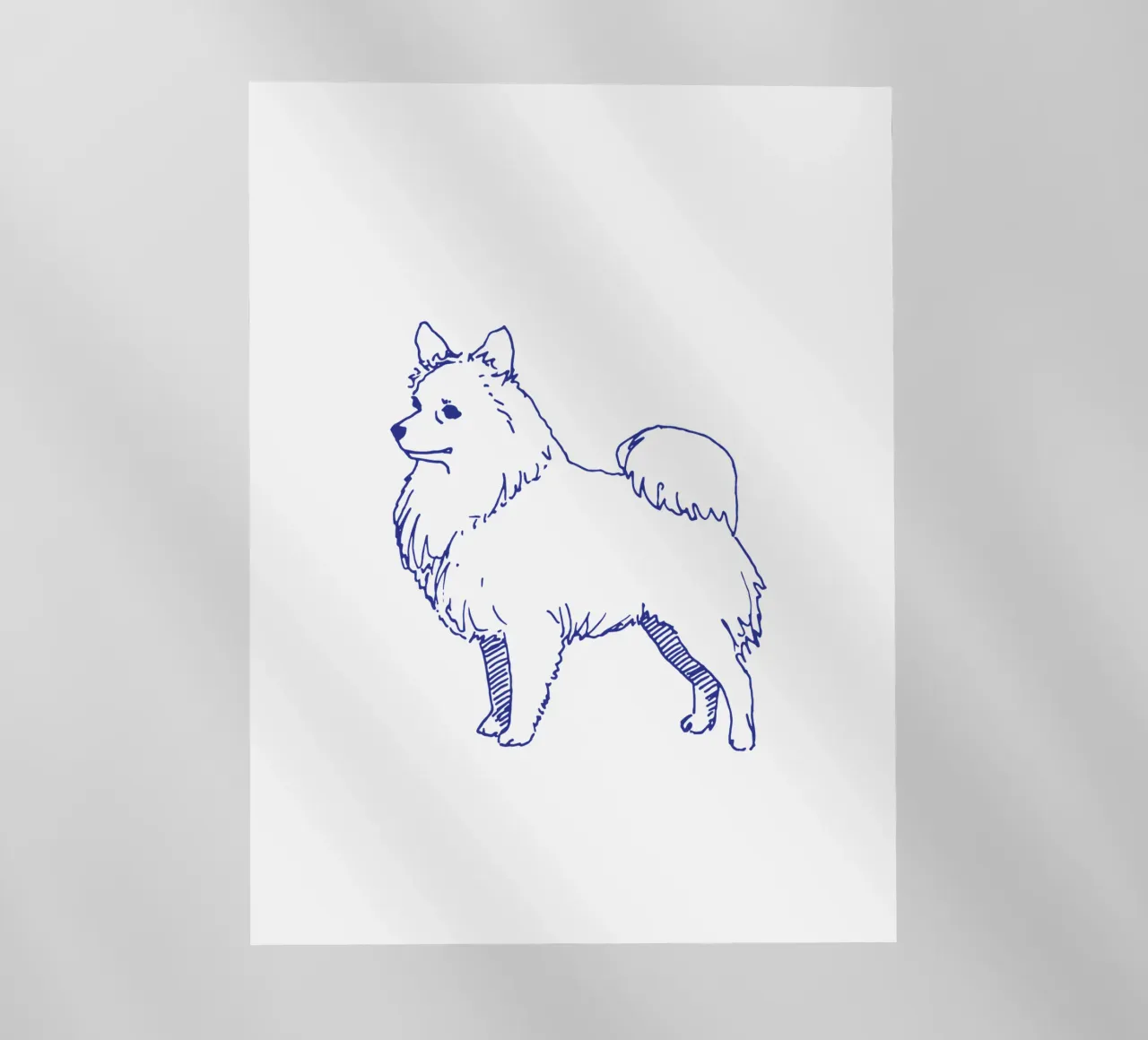 Spitz pellicola backlit da Blue on White