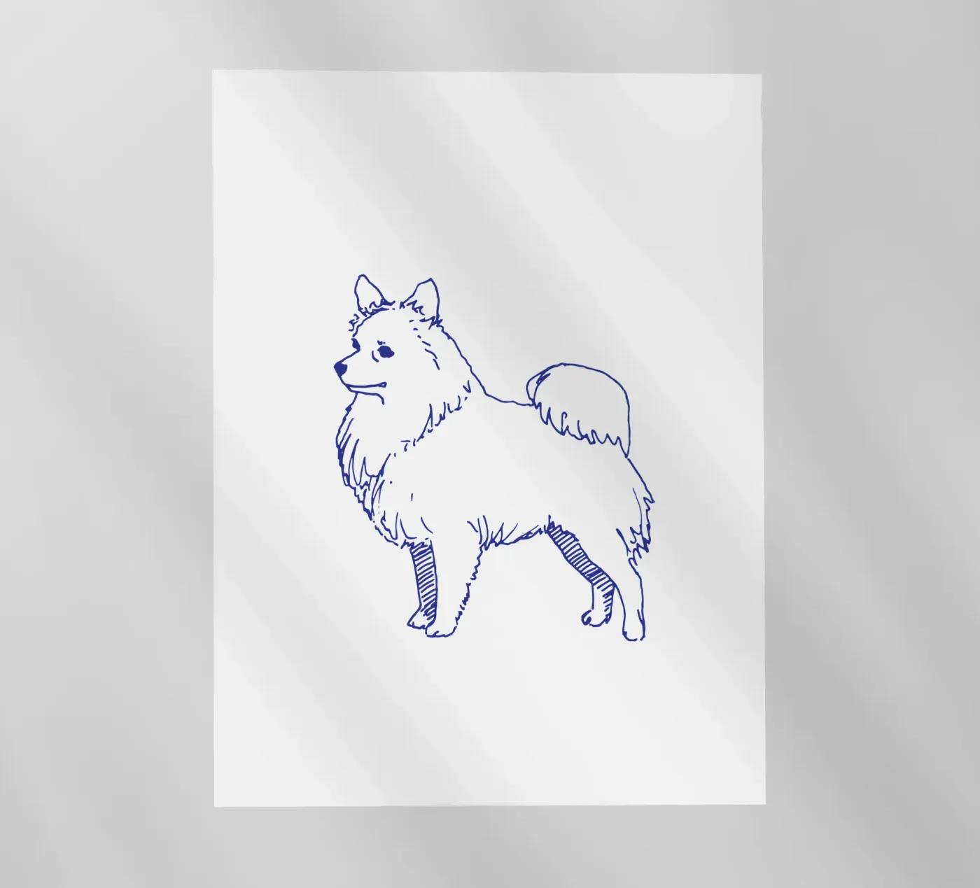 pointed backlit film by Blue on White