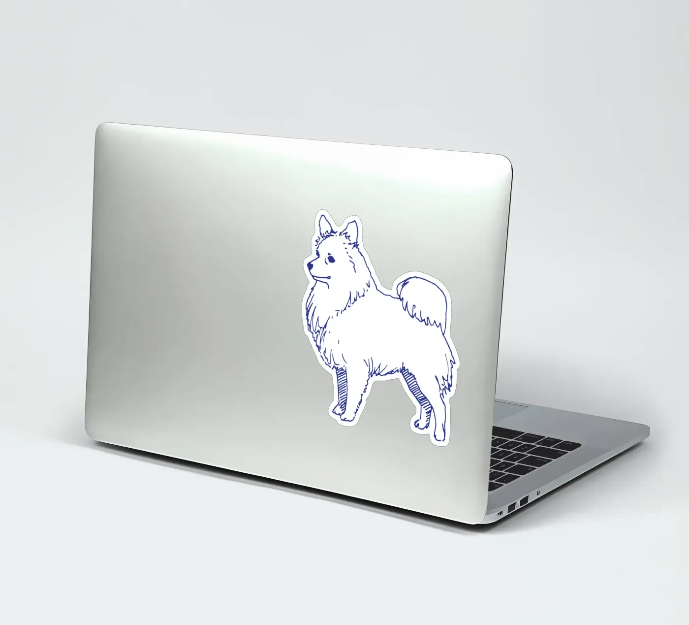Spitz Sticker von Blue on White