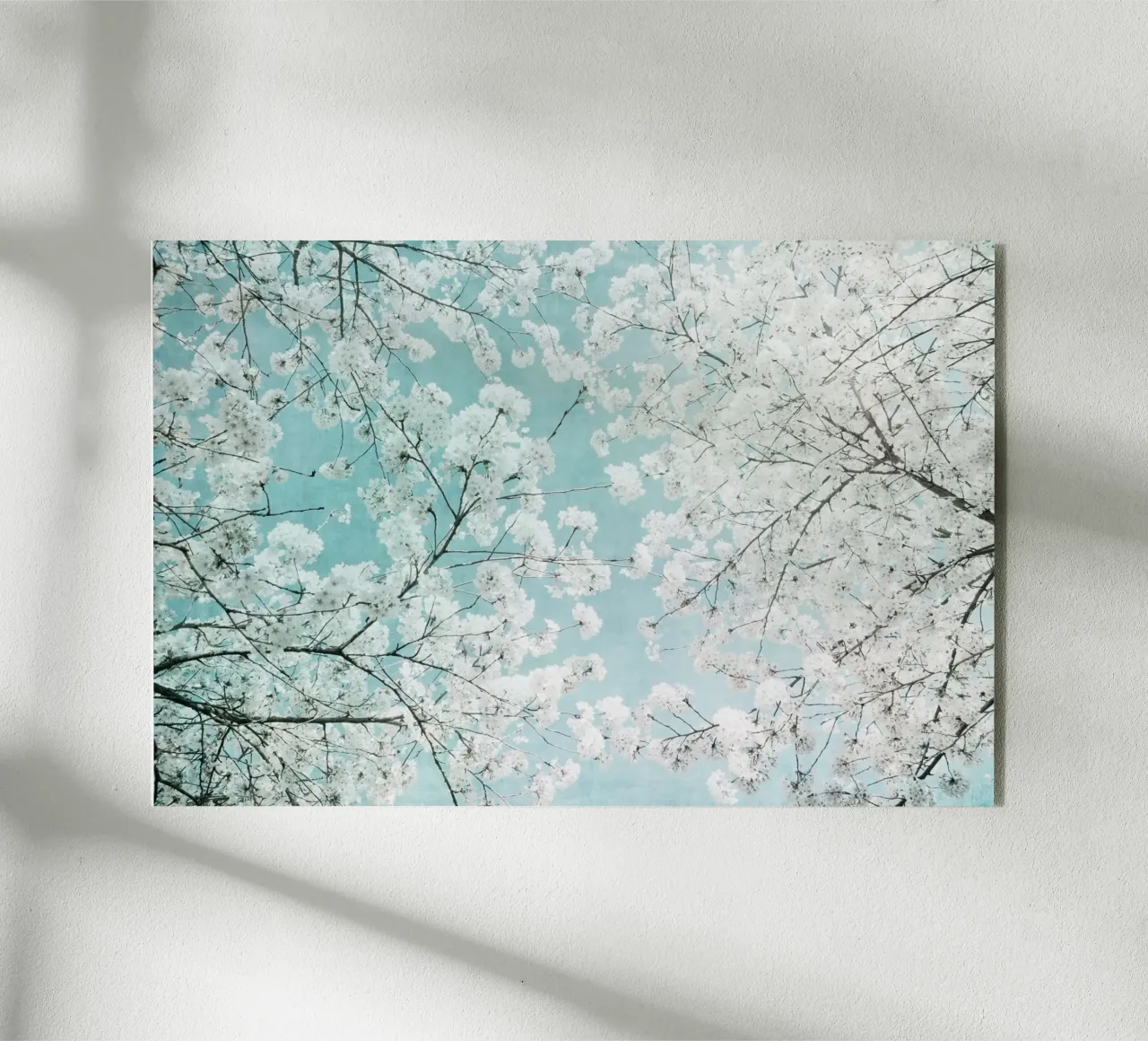 painterly blossoms plexiglass da Visuelle Poesie am Wegesrand