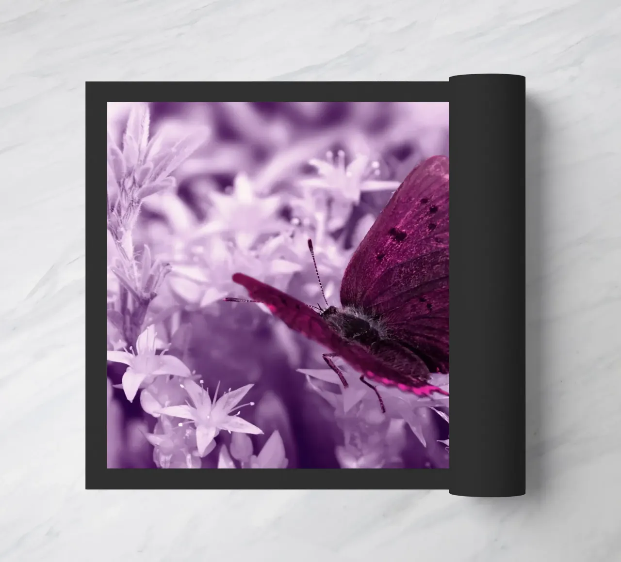 farfalla zerbino da Atteloi Fotografie