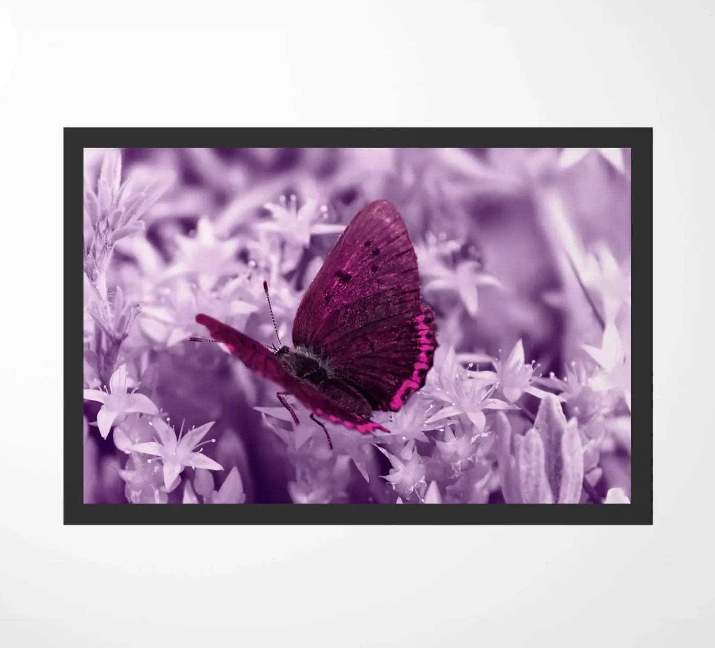 butterfly Fußmatte von Atteloi Fotografie