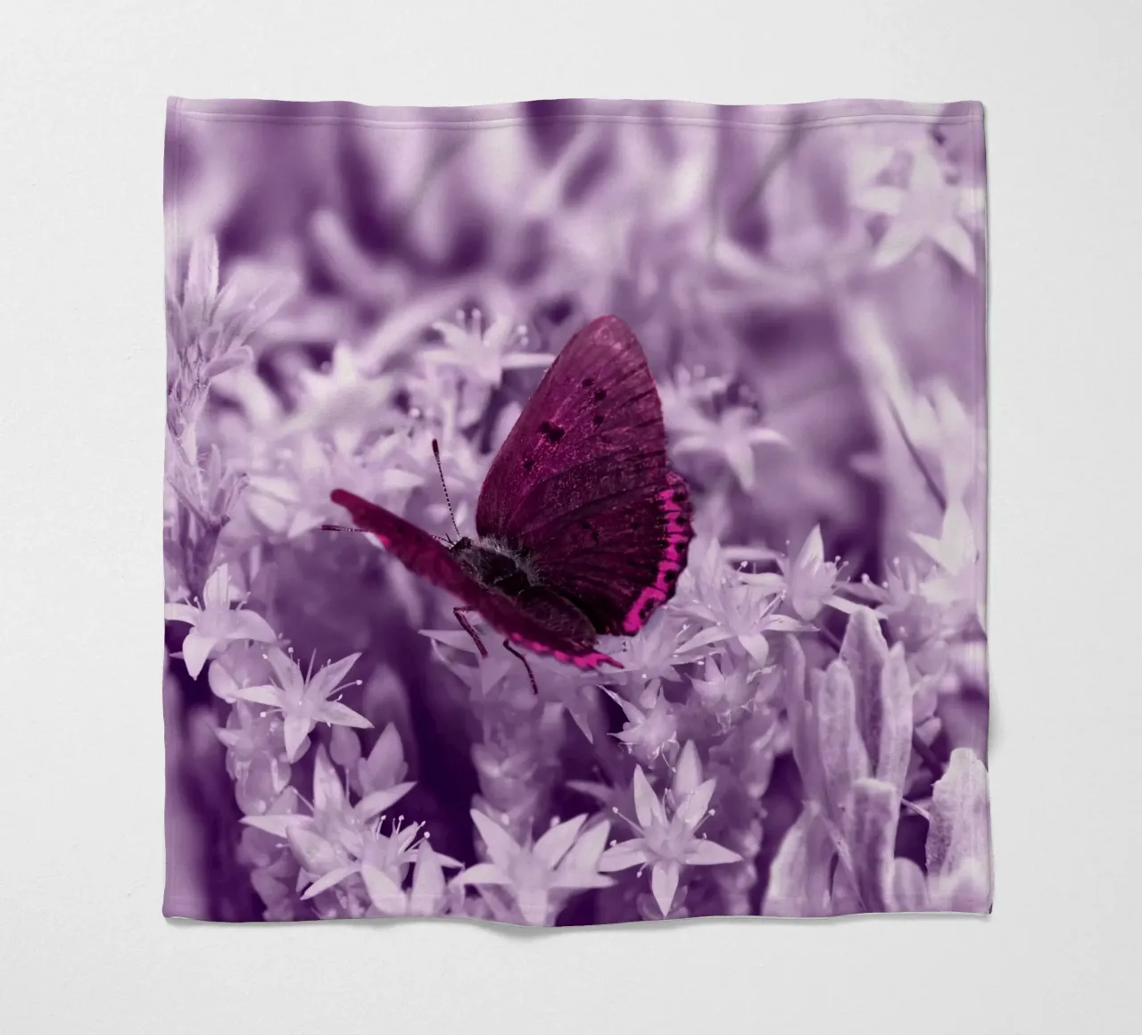 farfalla coperta in pile da Atteloi Fotografie