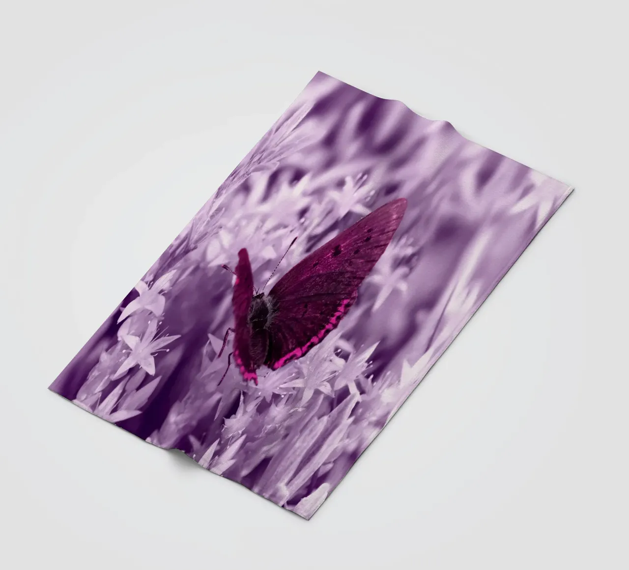 farfalla coperta in pile da Atteloi Fotografie