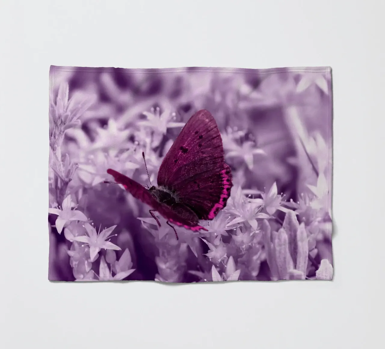 farfalla coperta in pile da Atteloi Fotografie