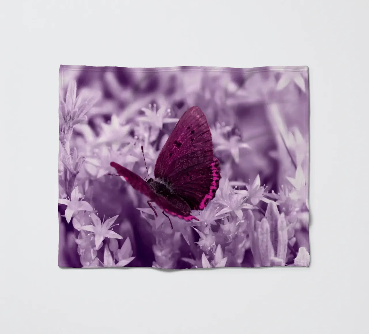 farfalla coperta in pile da Atteloi Fotografie