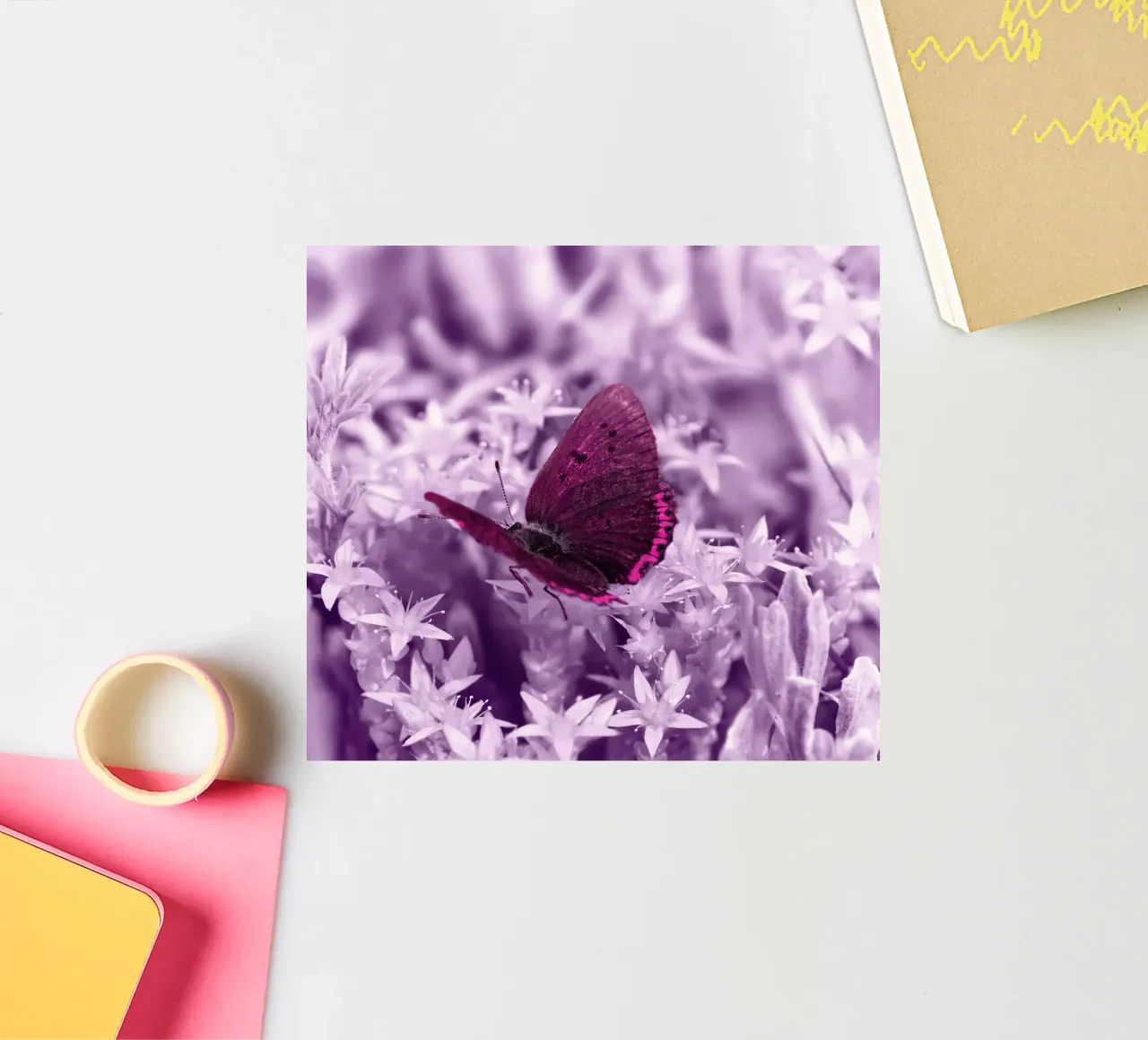 farfalla adesivo da Atteloi Fotografie