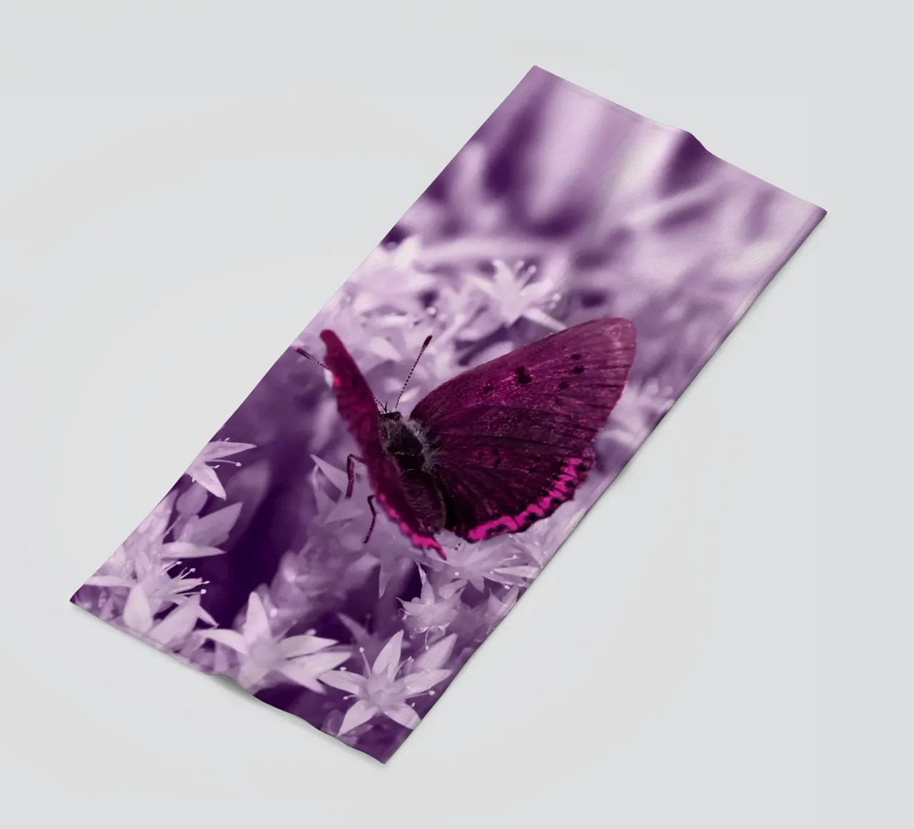 butterfly telo mare da Atteloi Fotografie