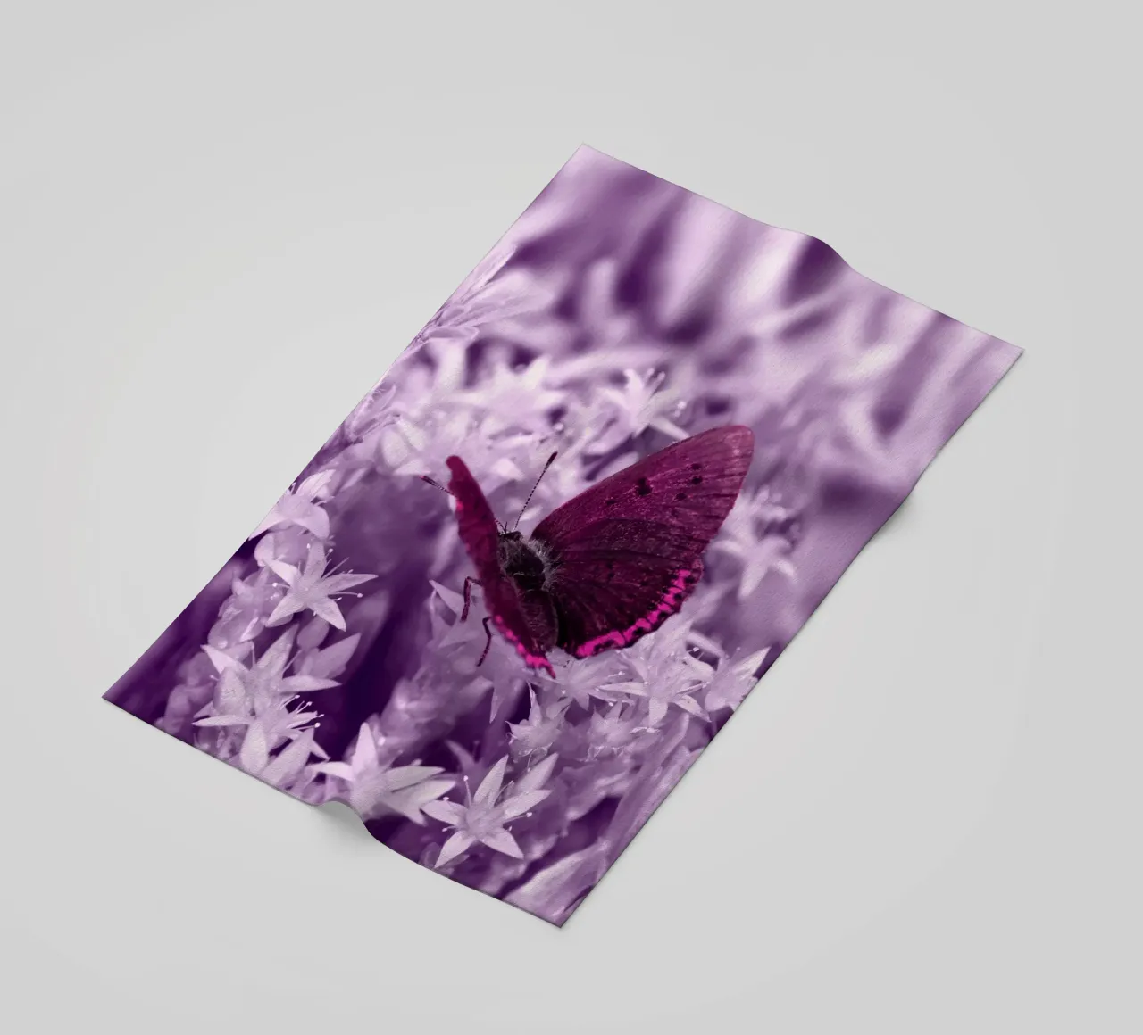 butterfly telo mare da Atteloi Fotografie