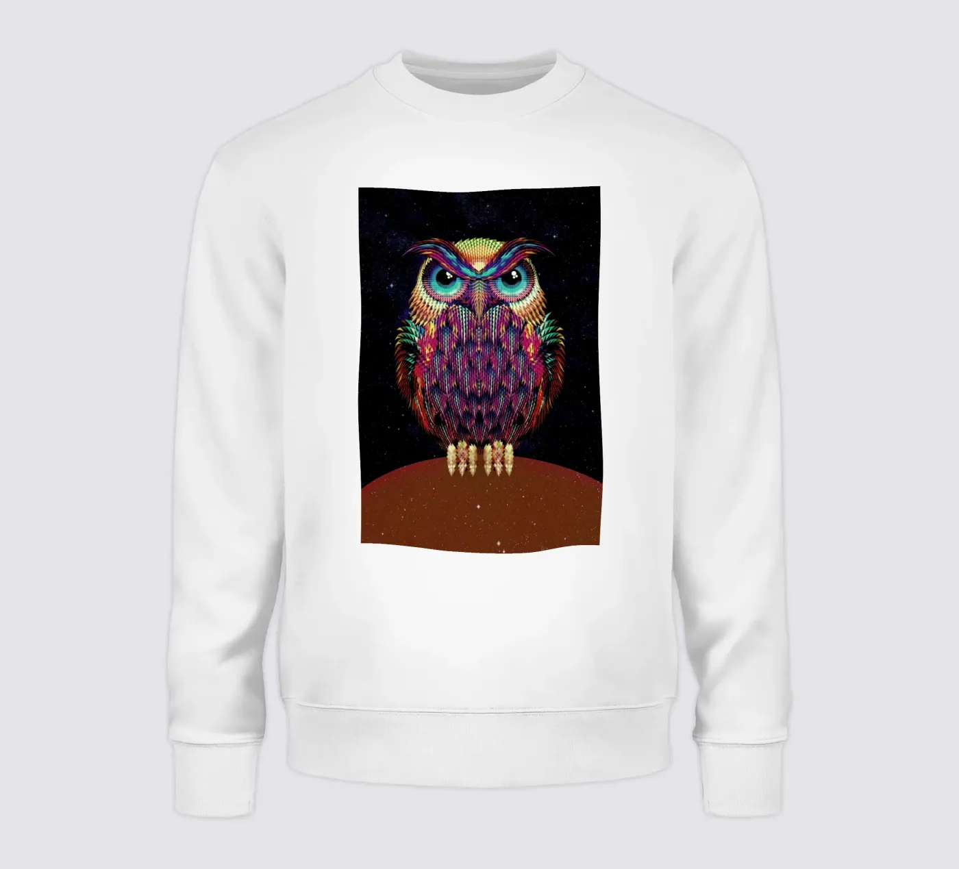 Owl 2 felpa da Ali Gulec