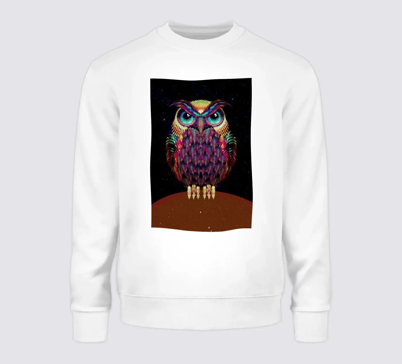 Owl 2 felpa da Ali Gulec