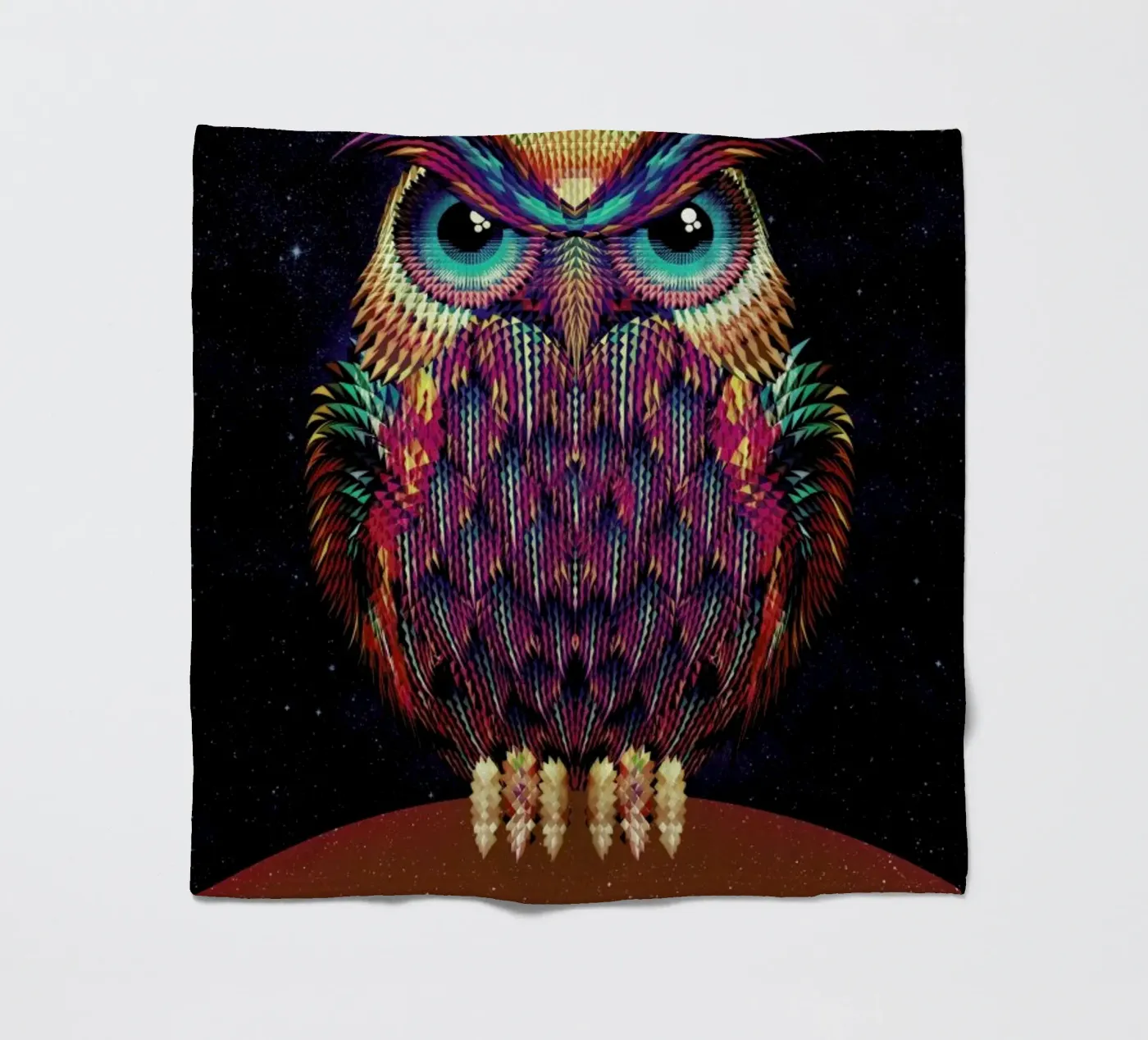 Owl 2 Fleecedecke von Ali Gulec