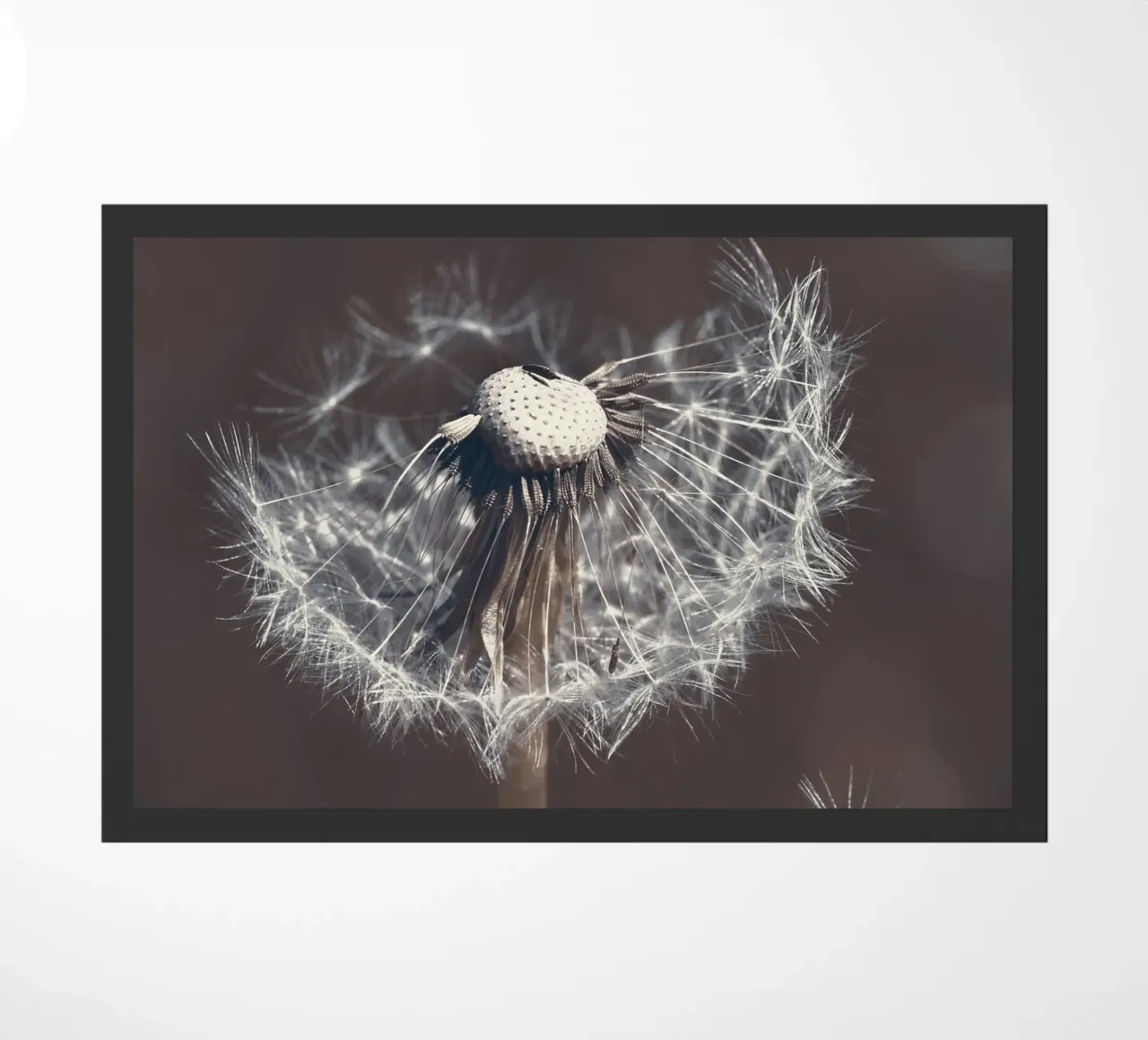 Dandelion doormat by Atteloi Fotografie