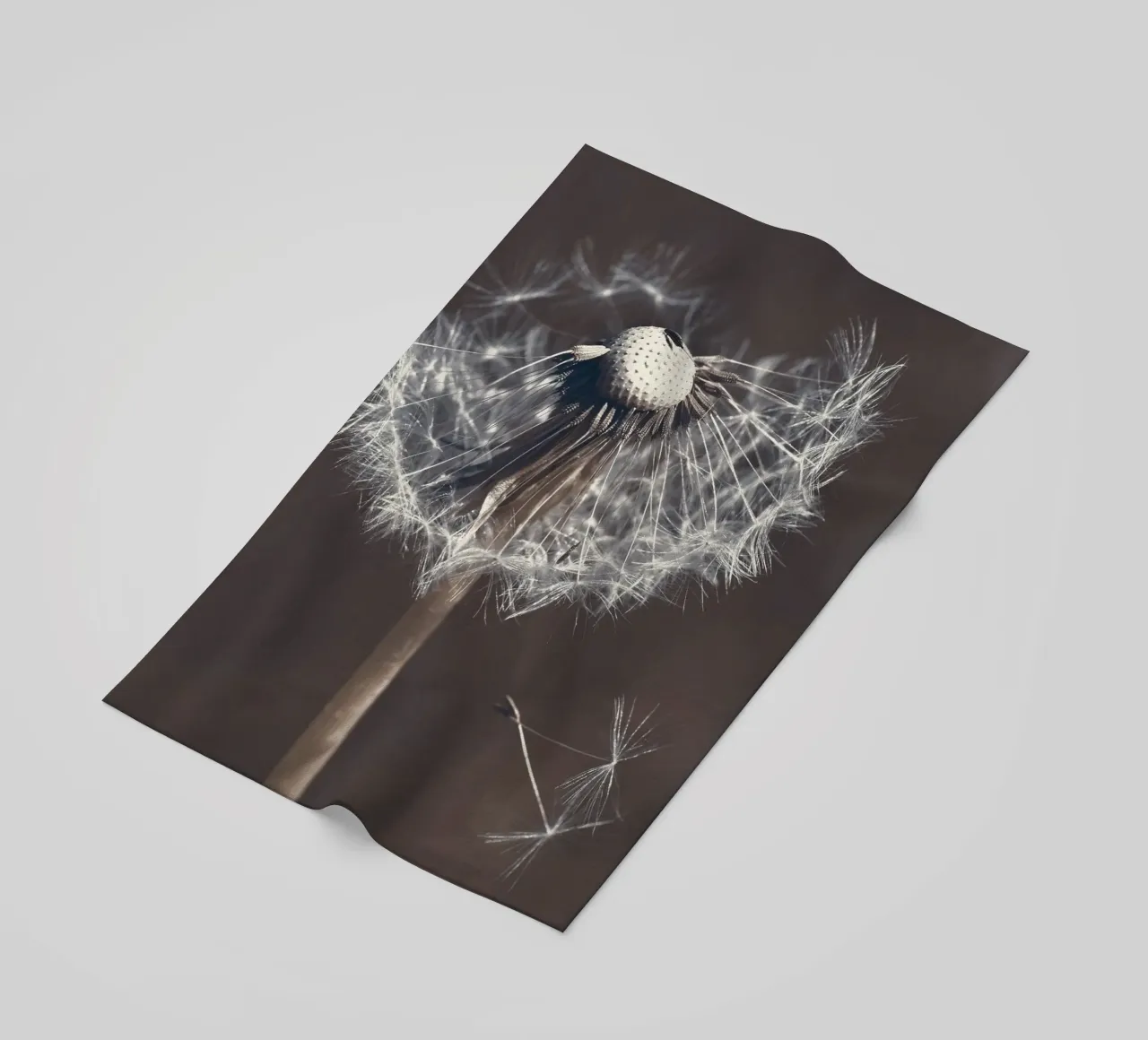 Pusteblume telo mare da Atteloi Fotografie