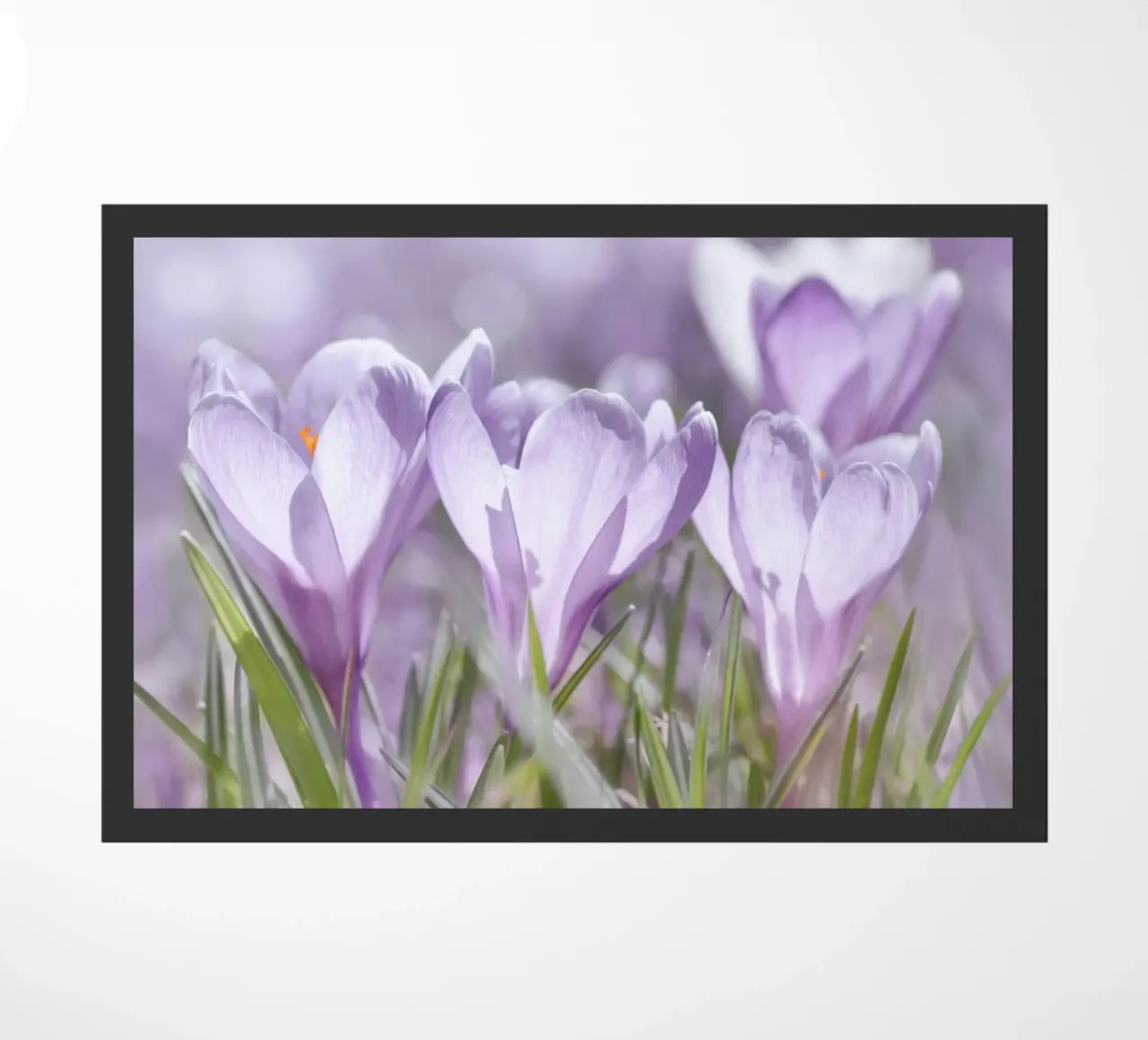 crocuses doormat by Atteloi