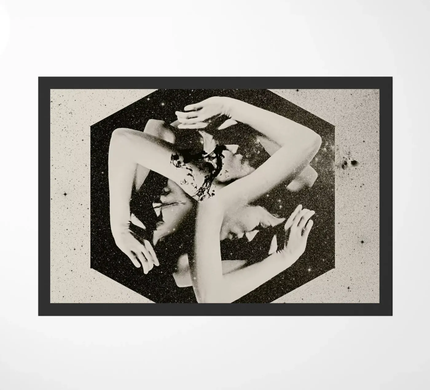 Box zerbino da Ali Gulec