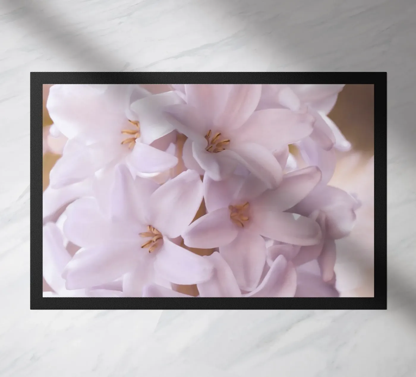 giacinto zerbino da Atteloi