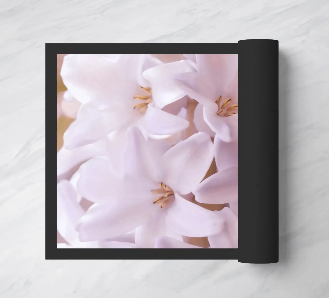 giacinto zerbino da Atteloi