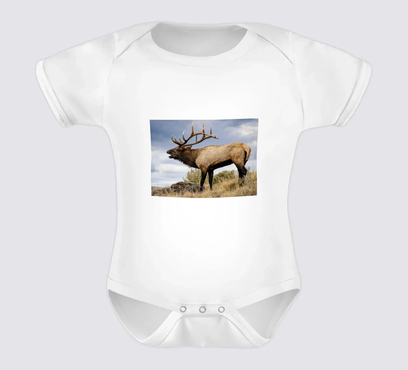 cerf body bébé de raflessia