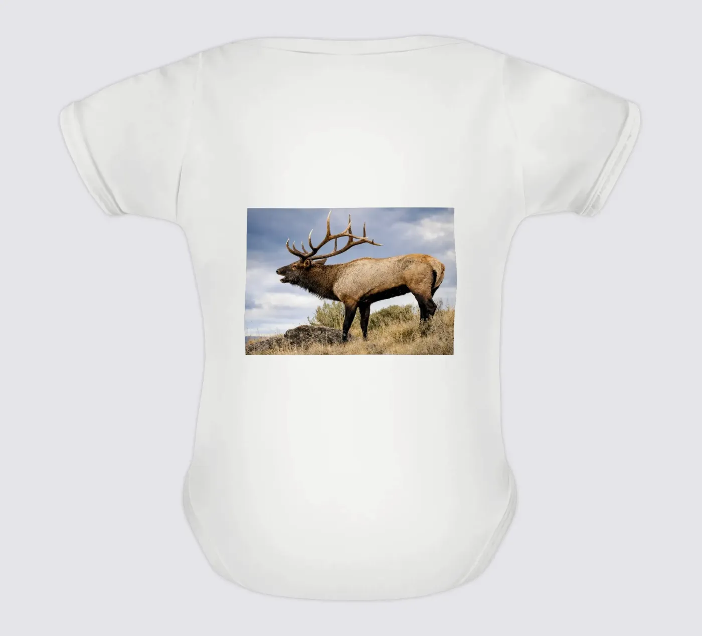 cerf body bébé de raflessia
