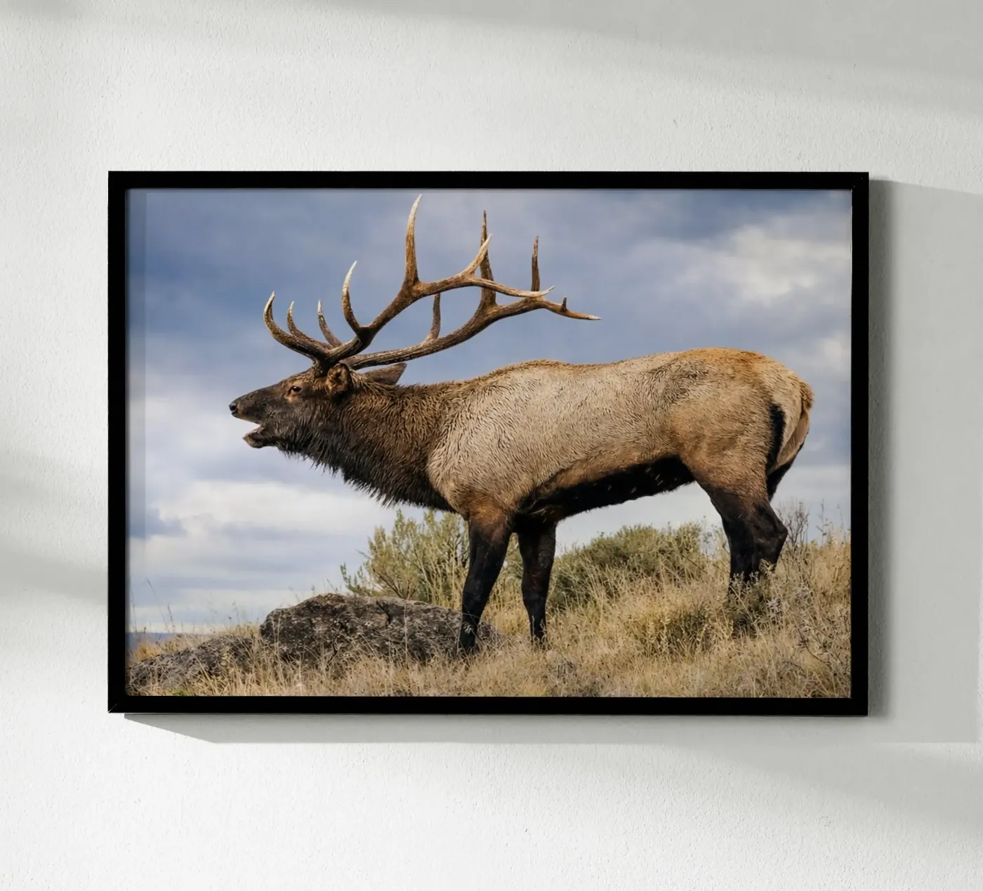deer poster van raflessia