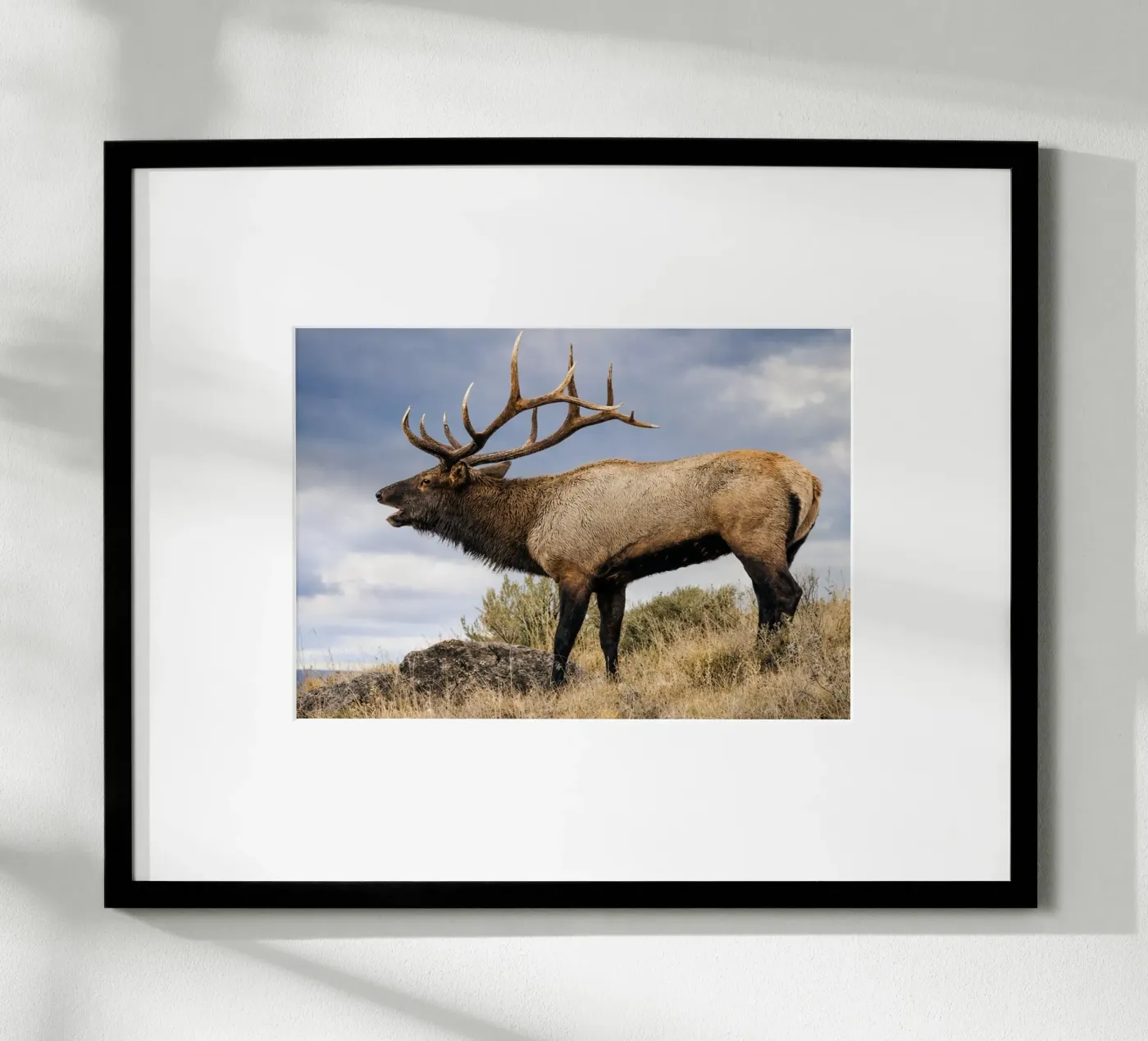 deer poster van raflessia