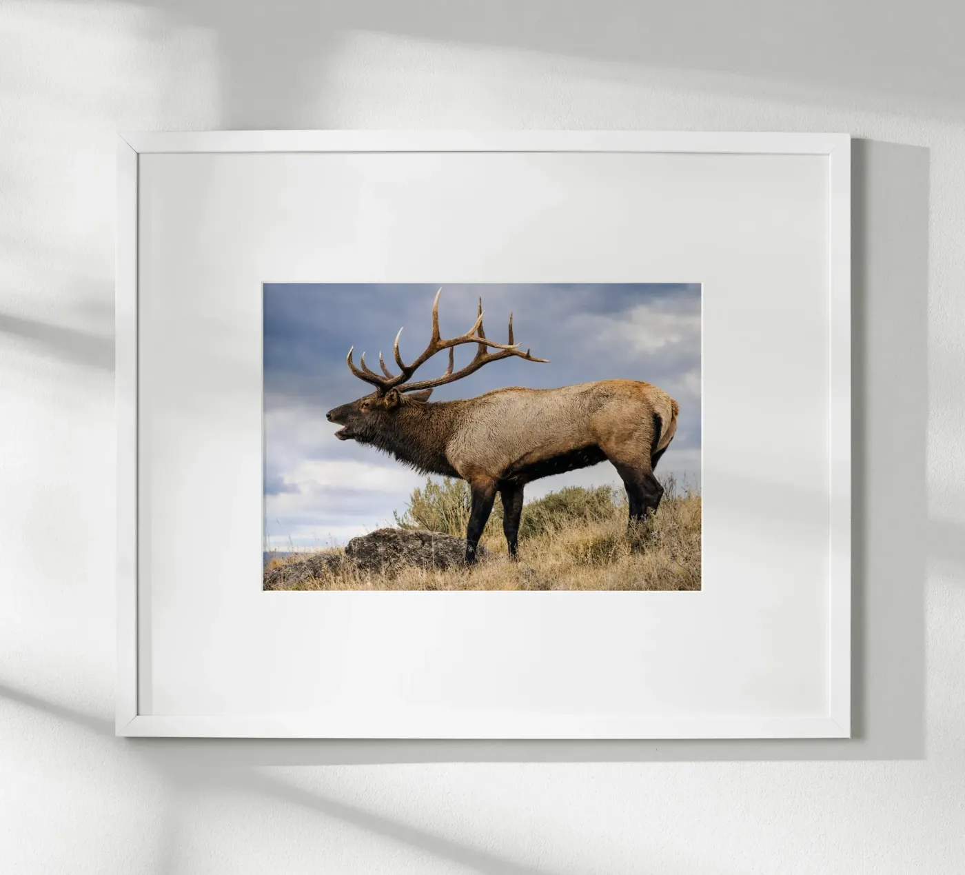 deer poster van raflessia