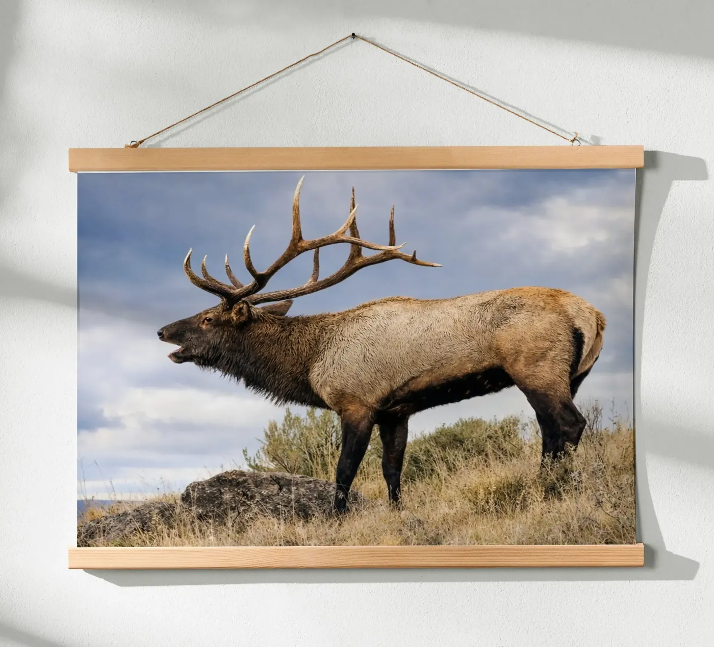 deer poster van raflessia