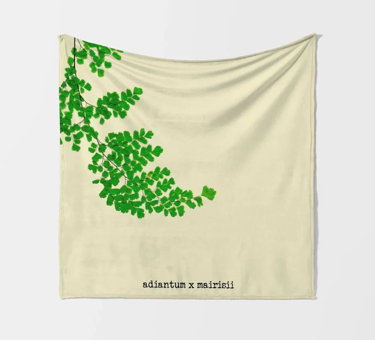 Adiantum X Mairisii coperta in pile da Ingrid Beddoes