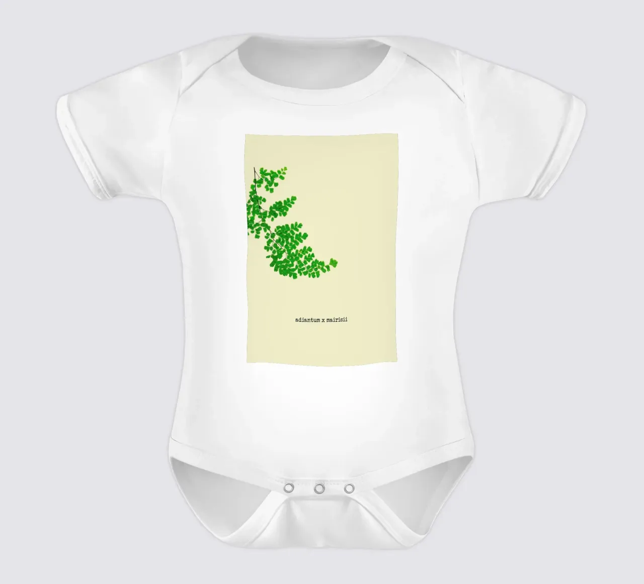 Adiantum X Mairisii body neonato maniche corte da Ingrid Beddoes