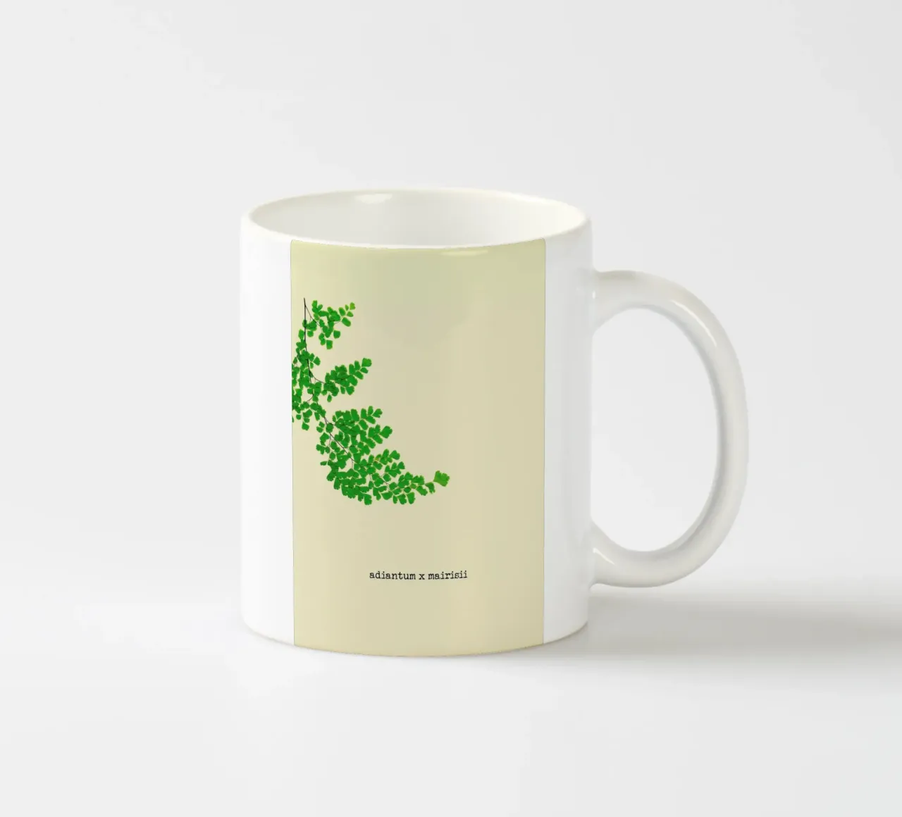 Adiantum X Mairisii tazza in ceramica da Ingrid Beddoes