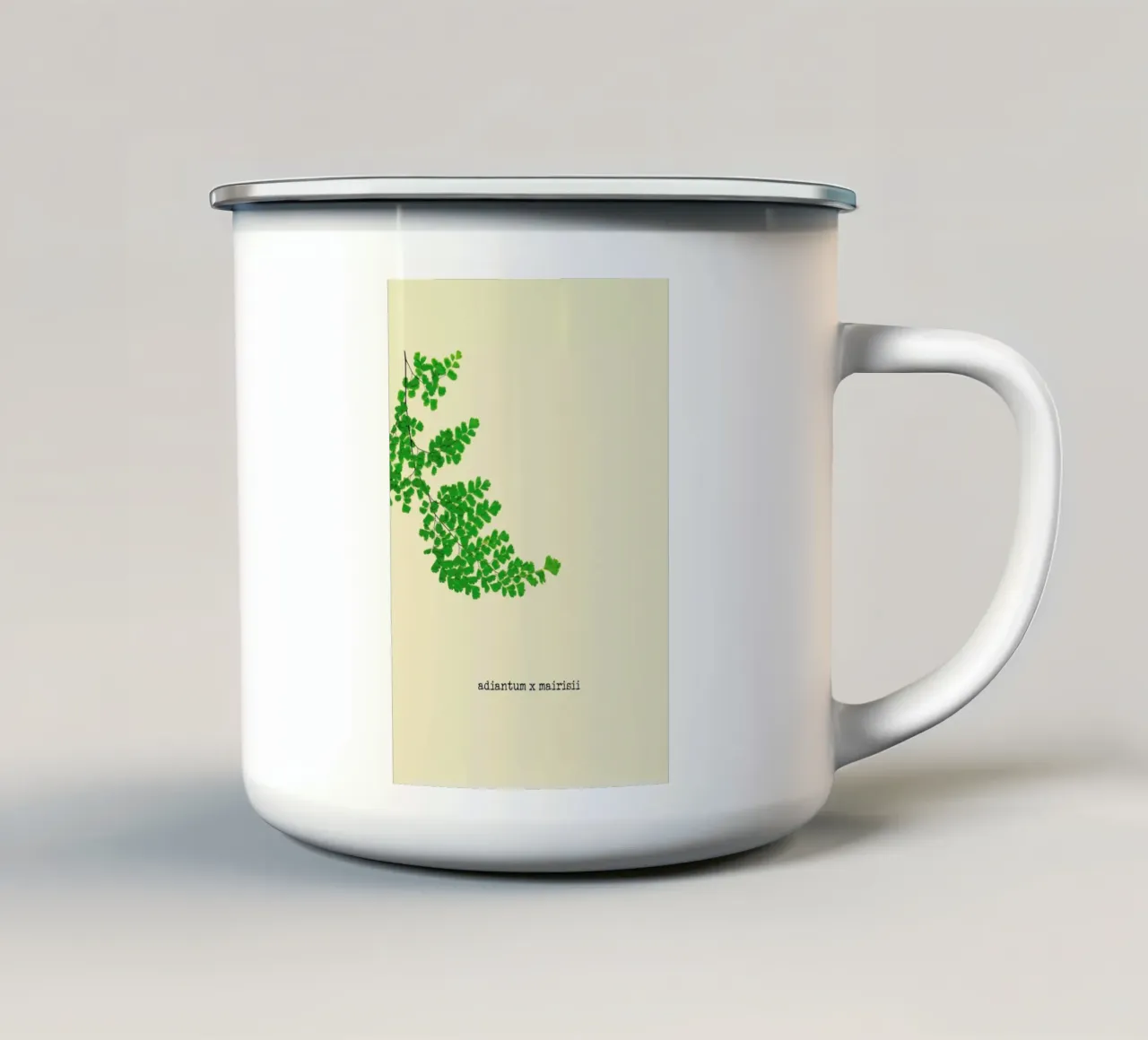Adiantum X Mairisii tazza in smalto da Ingrid Beddoes